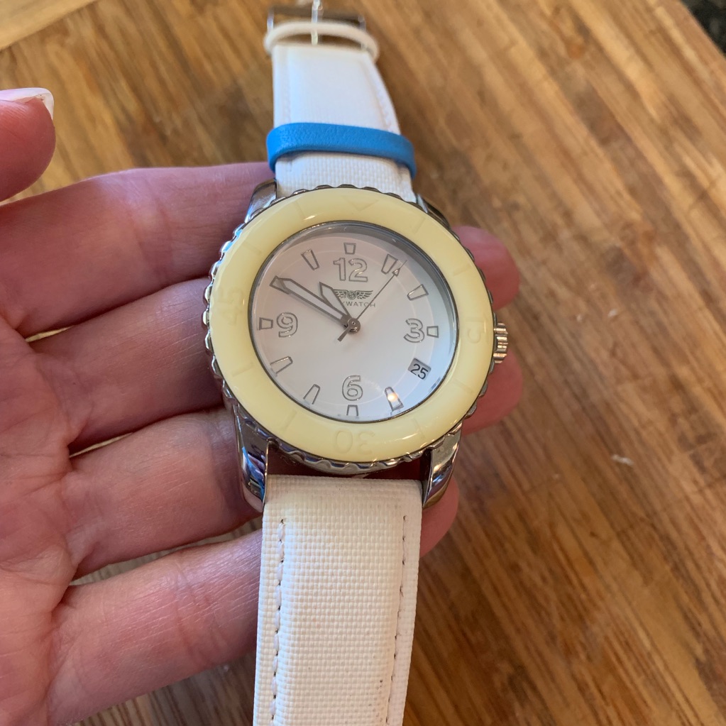 Skywatch 36 Mm Model Am1002 Divers Watch